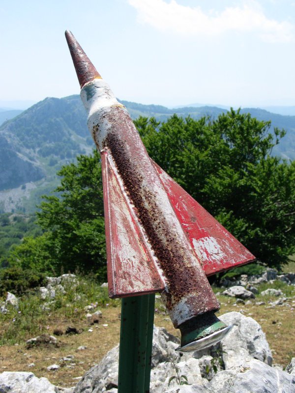 Artatxaganeko buzoia