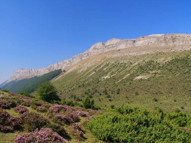 Beriain-Lezitza mendilerroa