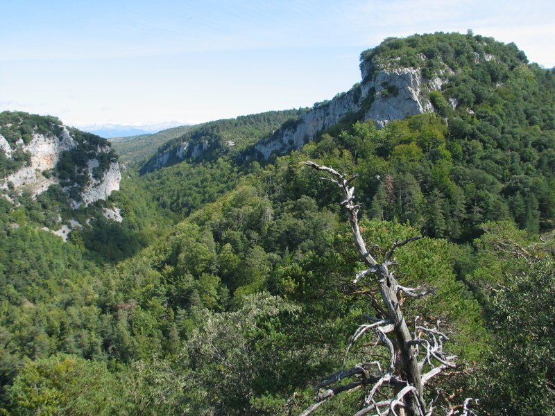Benasako arroilaren goiko aldea