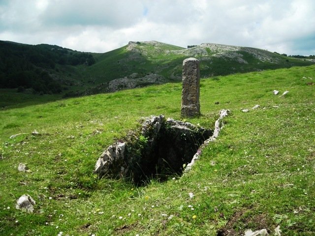 Organbideko trikuharria 