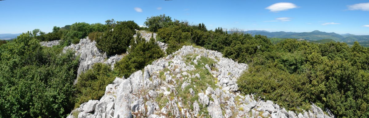 Tontorra Ekialdetik ikusita