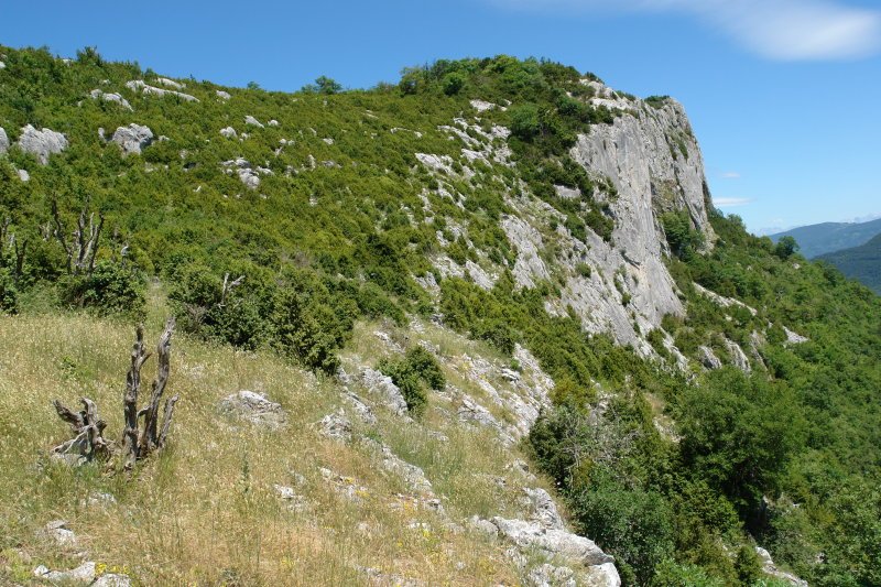 Aintzioako Ekialdeko hormak, Larrogain aldeko lepotik