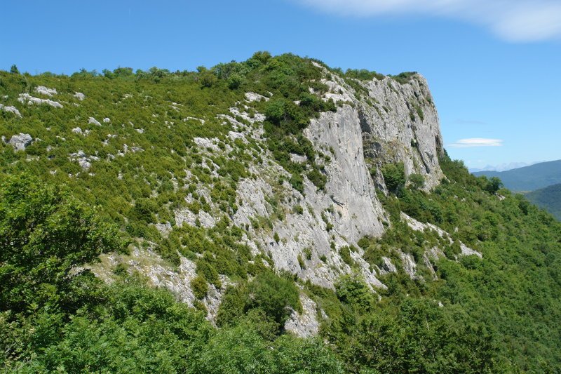 Aintzioako hormak Larrogain aldeko lepotik