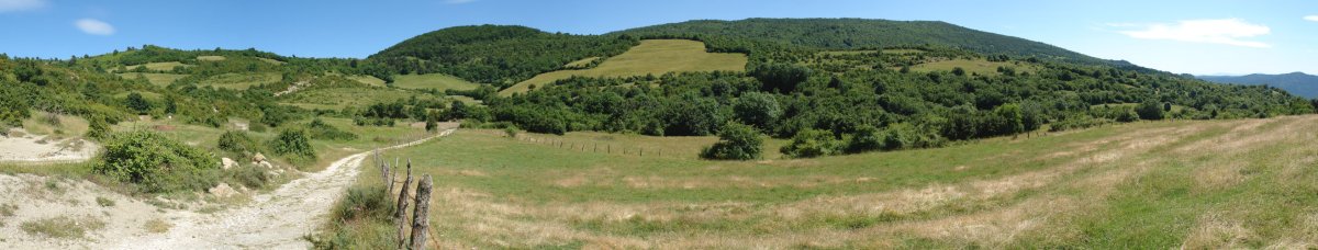 Aintzioa aldetik ikusita