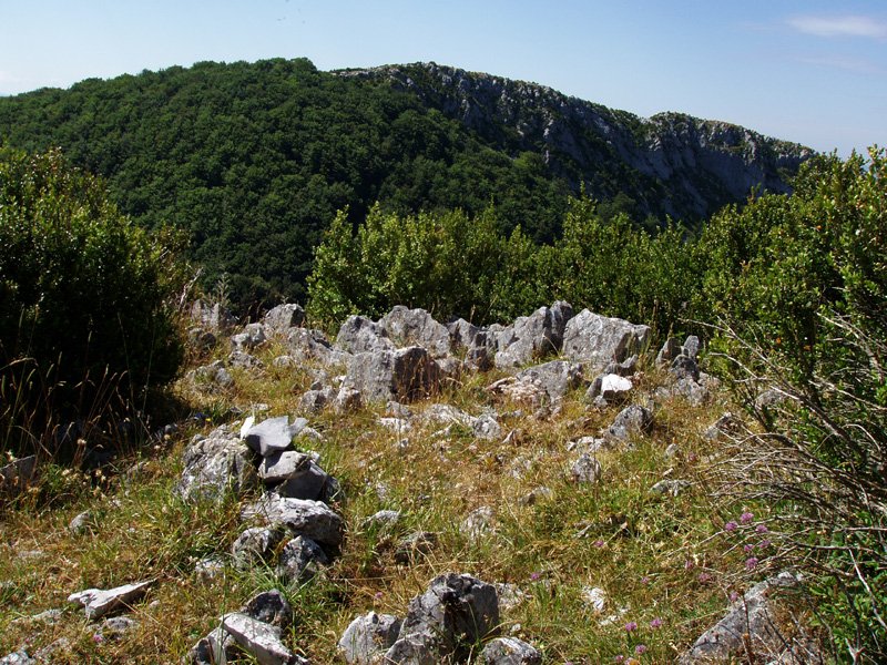 Hau ez da gailurra...