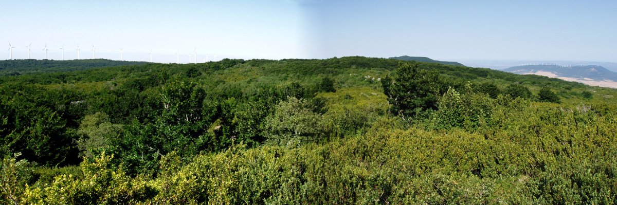 Irumuga (1132m) Txanburuko gailurretik