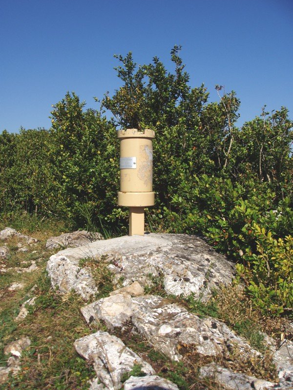 Txanburuko txartelontzia