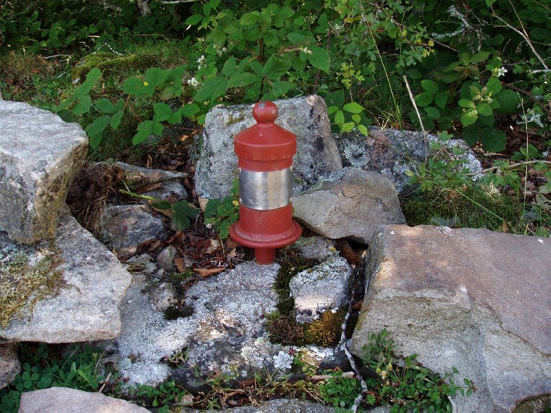 Tx. Nanki GMk jarritako buzoia