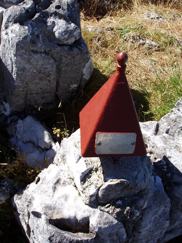 Tx. Nanki GMk jarritako buzoia