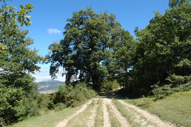 Egillor aldeko bidea