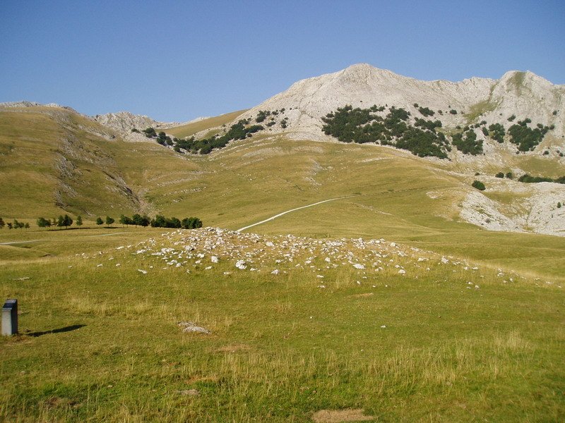 Pagobakoitza trikuharria