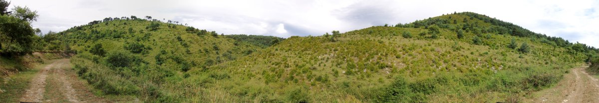 Illarraga eta Landakoa