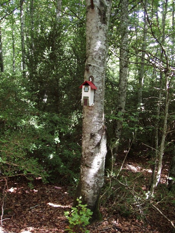 Gailurretik hegoalderago (eta beherago) txartelontziak daude