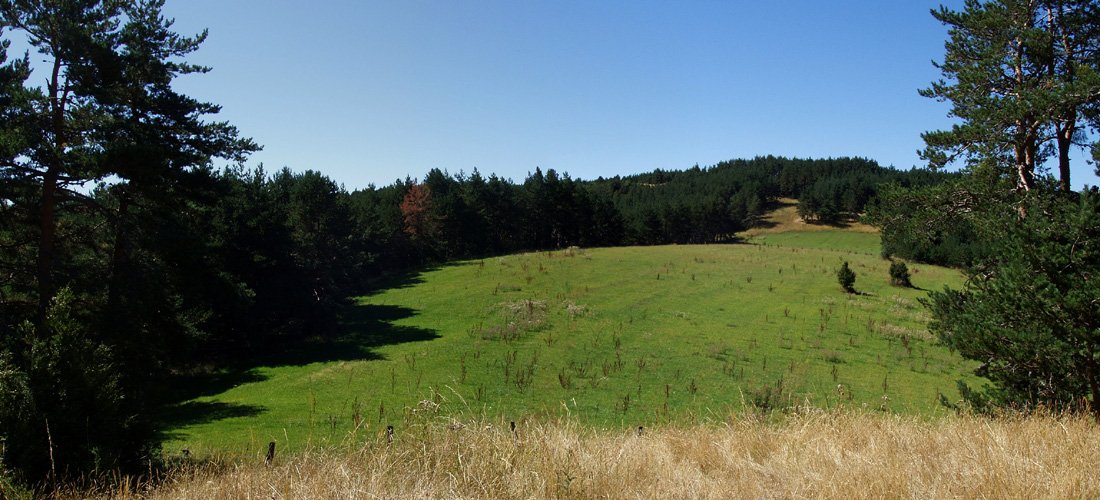 Monterriako gainaldea eta gasbidea