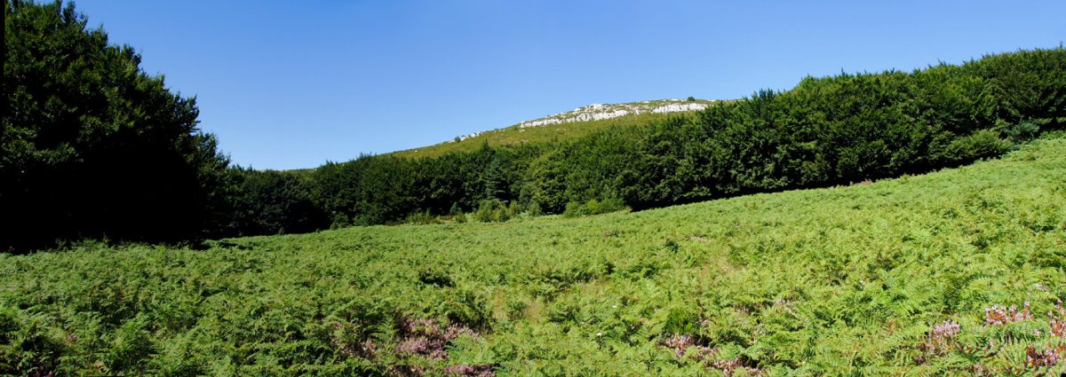 Orrontz Orraunandiko lepotik