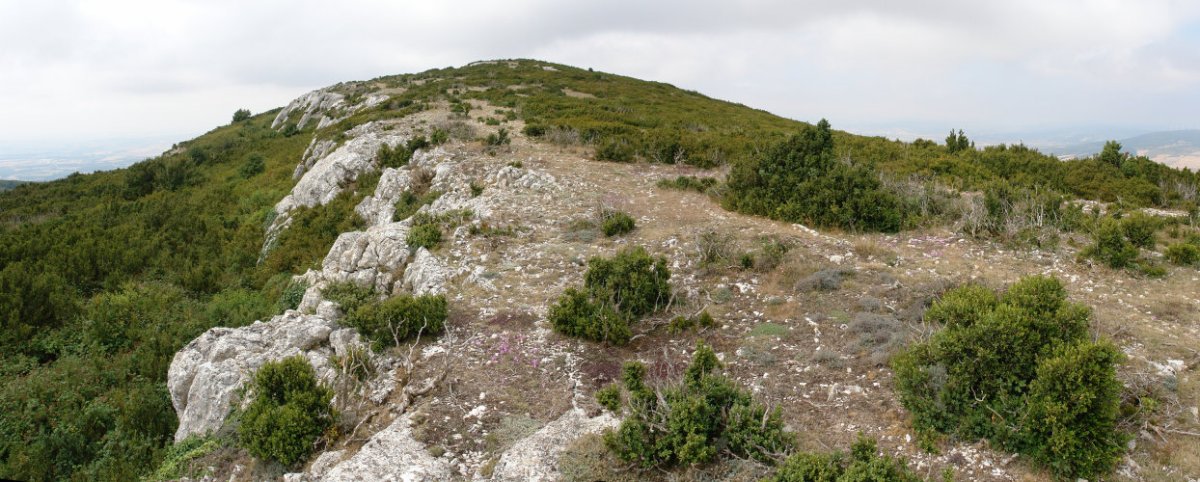 Orrontze Ekialdeko bizkarretik