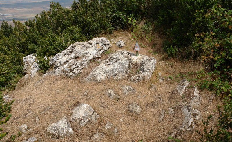 Bagadigorriko tontorra