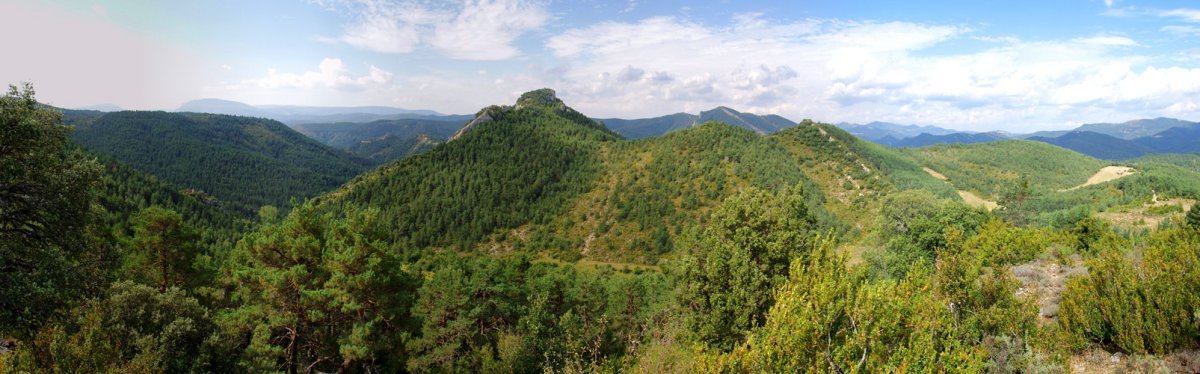 Gaztuluzarra eta Elizarena Argibletik