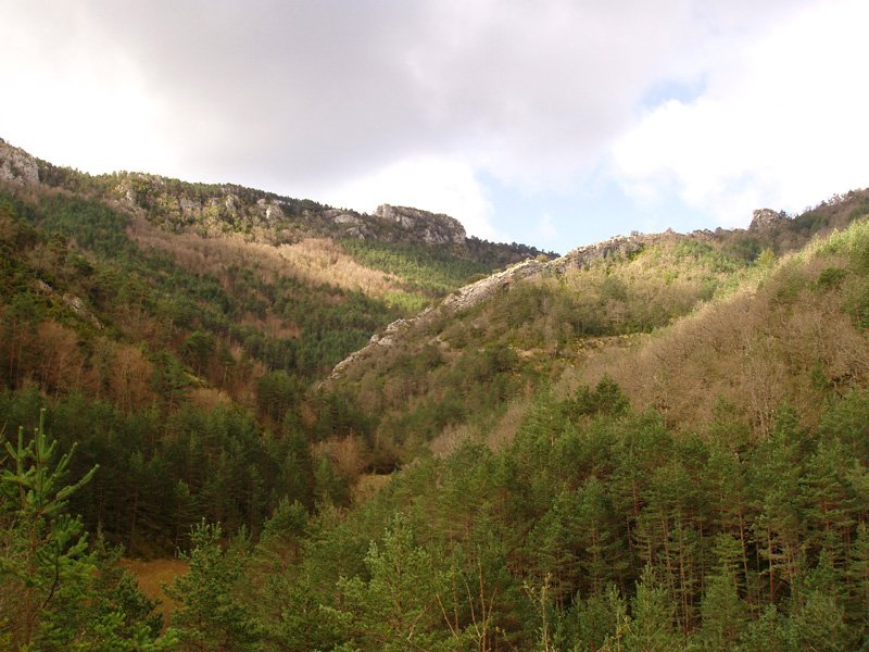 Xubiketa sakana, Ibiltzietako bidetik