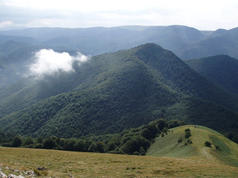 Mozoloandi Mendizarretik