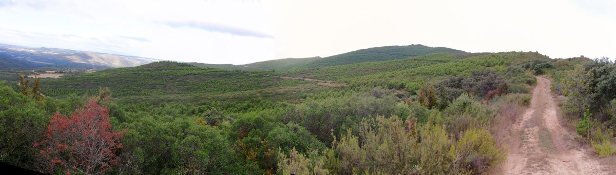 San Pedro ekialdetik