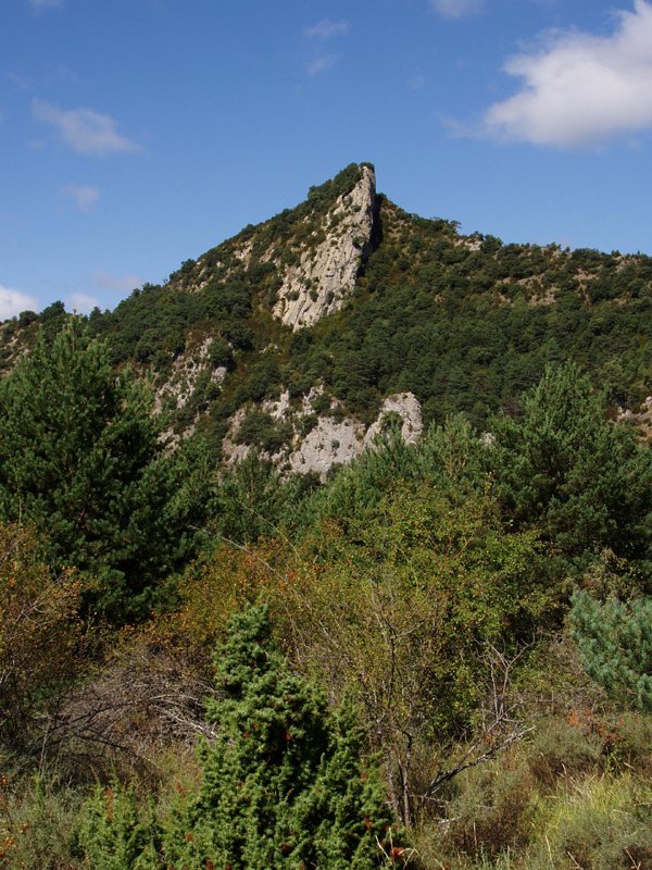 Iburtu haitza ekialdetik