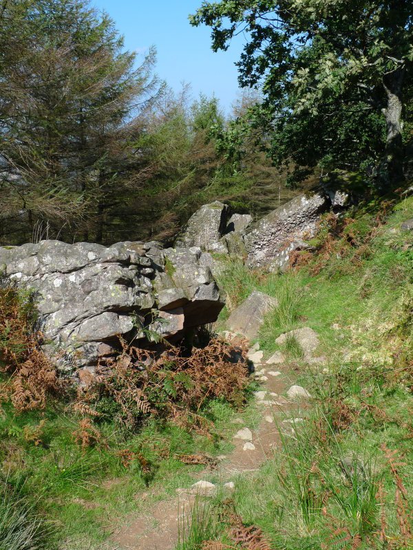 Eteneta alderako bideko pasarte bat