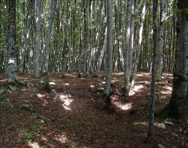 Zobeta mendiko gailurra (953m) 