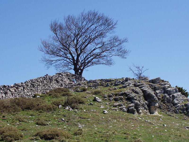 Bardoitzako (Eraul) gailurra (1110m)