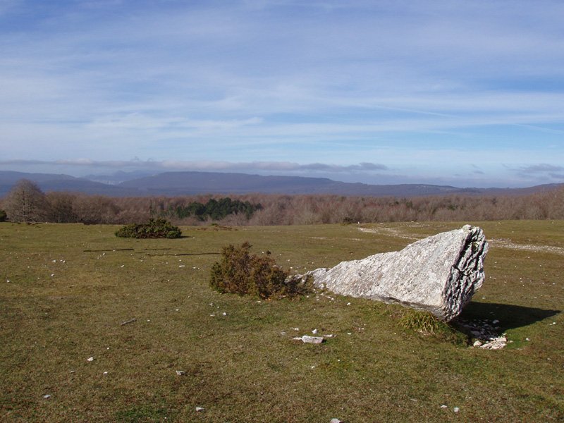 Otsopotilloko zutarria