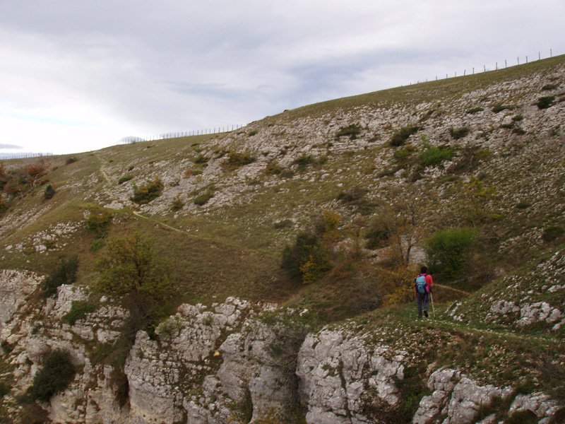 Bakedanoko portu zaharra
