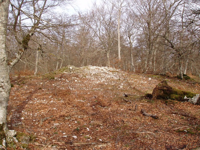 Pedro Txikiko trikurarria, Pilatosen Balkoitik hurbil