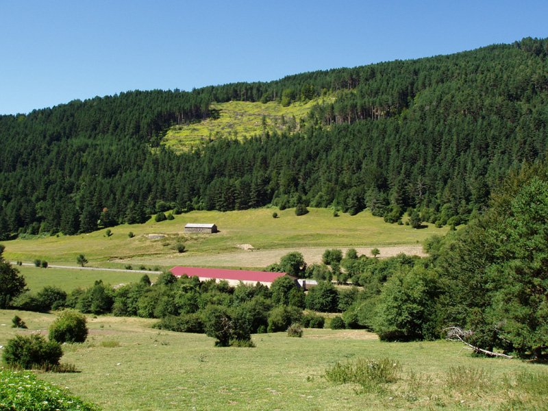 Ibilbidearen hasiera