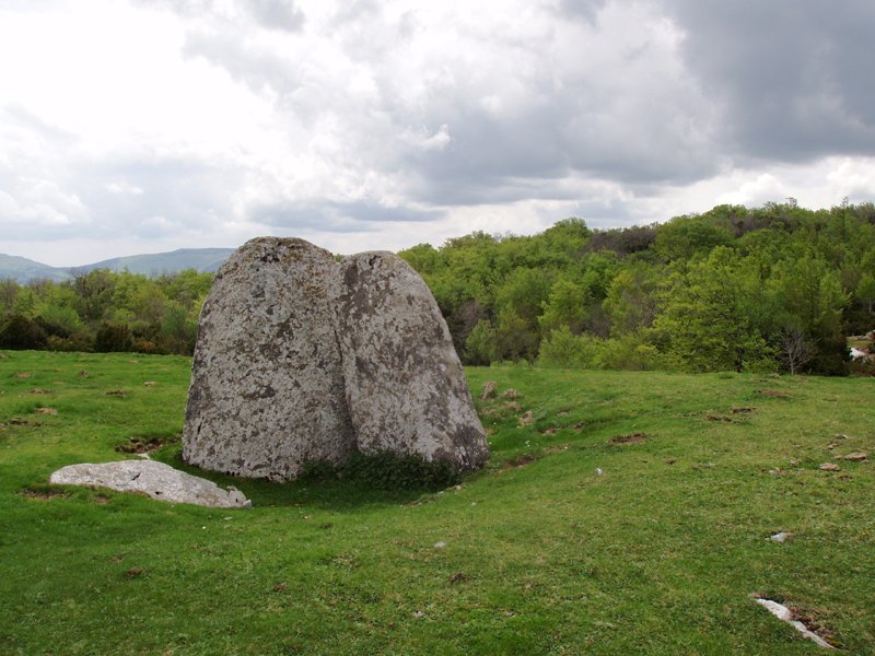 Arriluze trikuharria