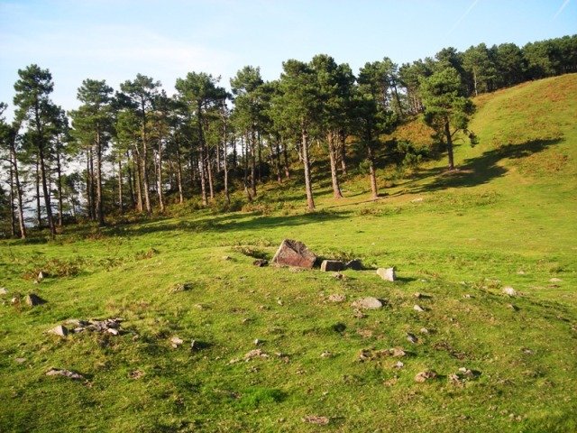 Pozontarriko lepoko trikuharria