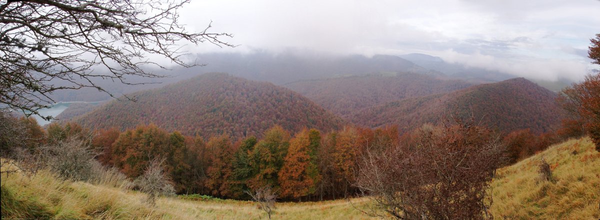 Mozolotxiki Mozoloanditik 