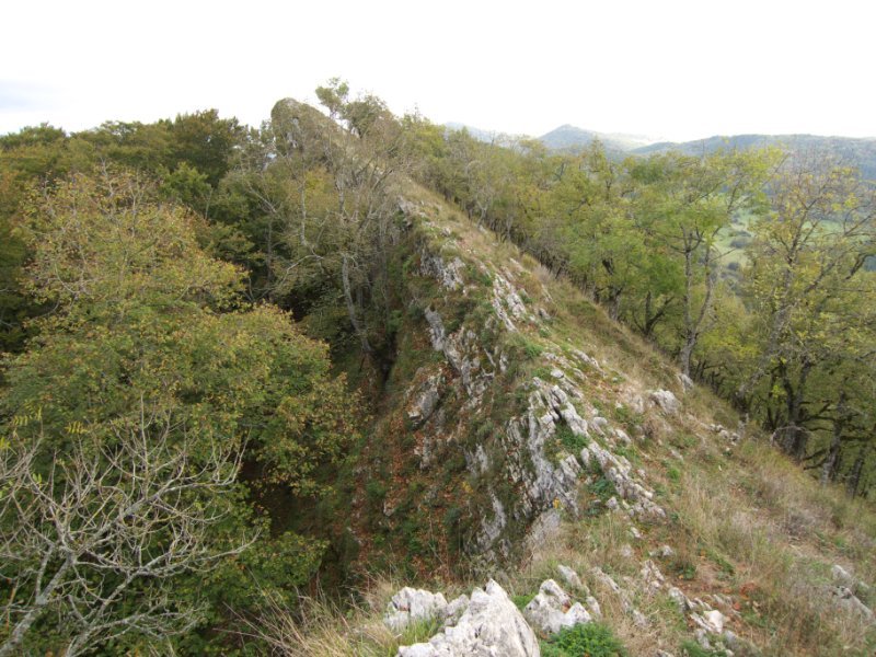 Tontorra Mendebaldetik