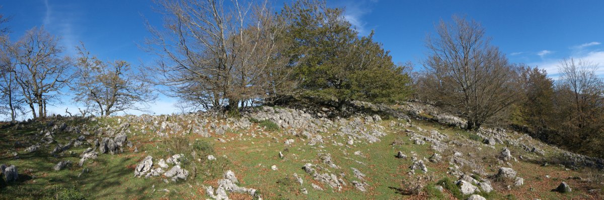 Tontorraren inguruak