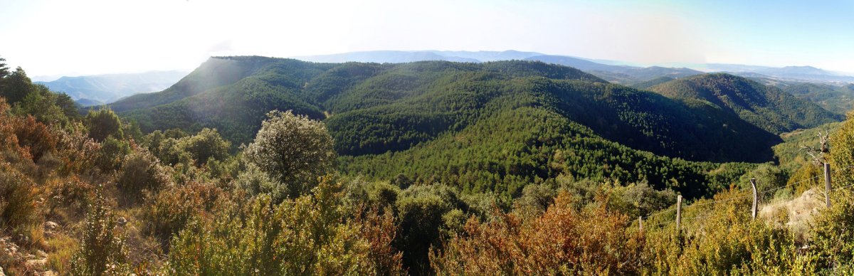 Orlagatu Zorokietatik