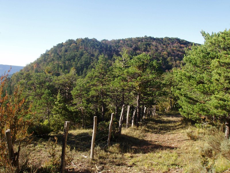Kurkuxulo Adoaingo lepotik