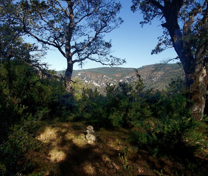 Kurkuxuloko gailurra