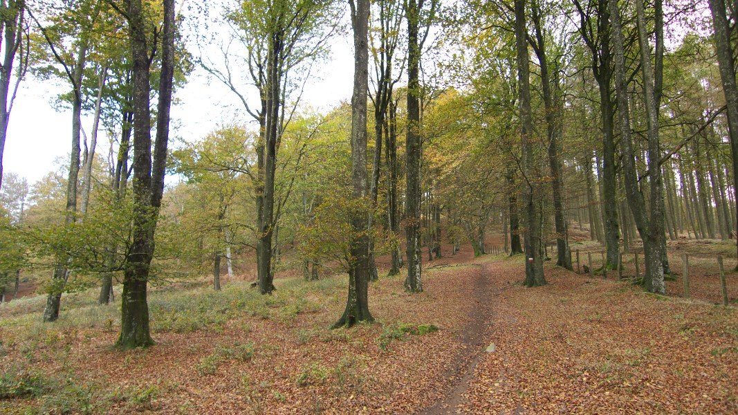 GR20 bidea HMko bizkarrean gora