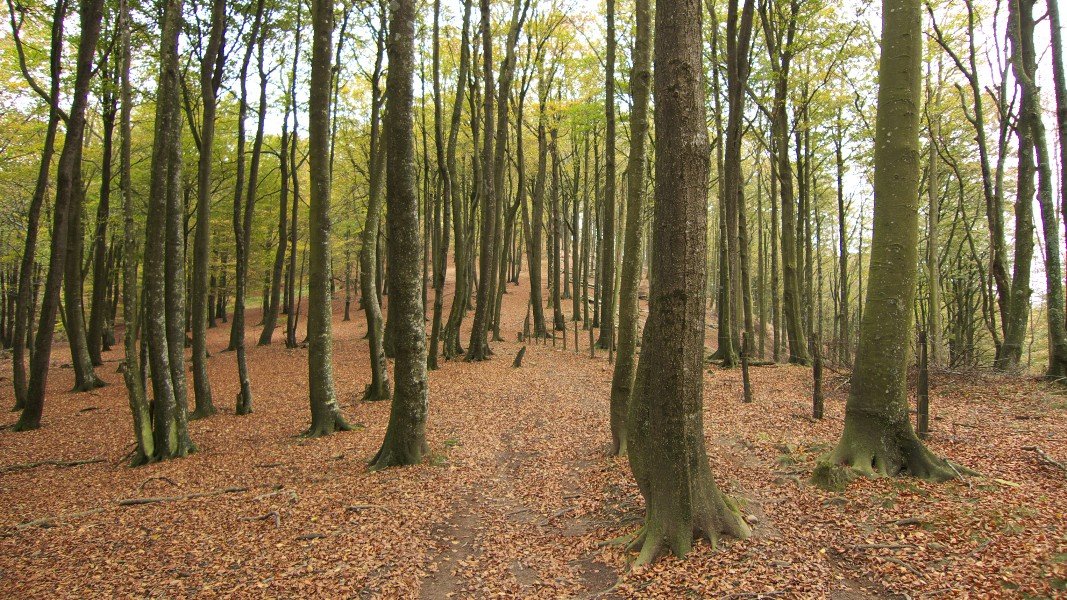 GR20 bidea mendebaldeko bizkarrean