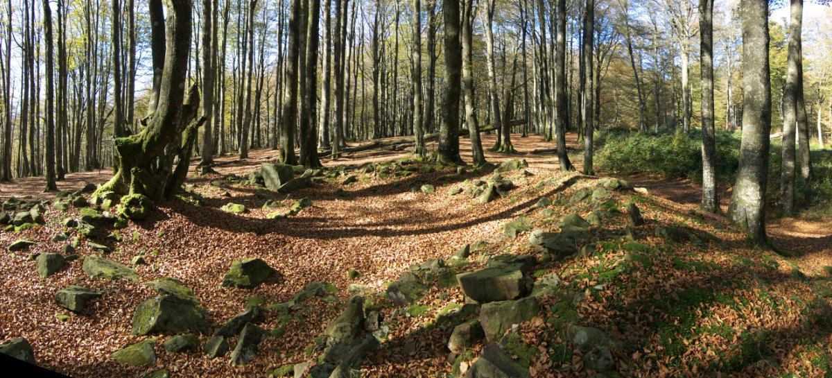 Larreluzeko trikuharria