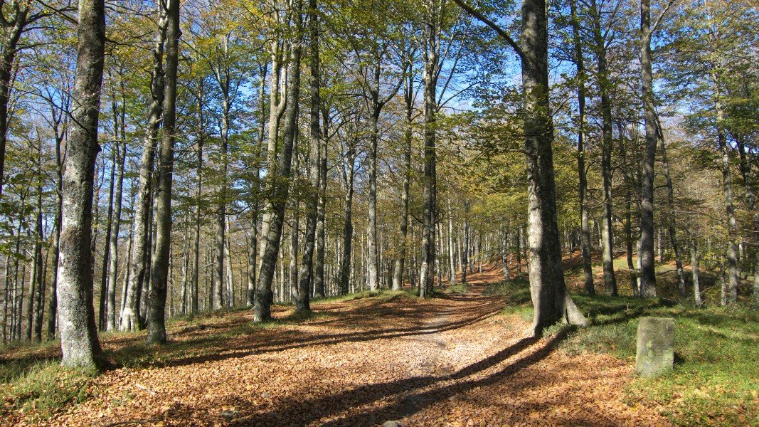 GR20 bidea Ekialdean