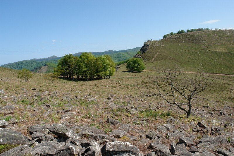 Pago multzo horren ezker aldean dago