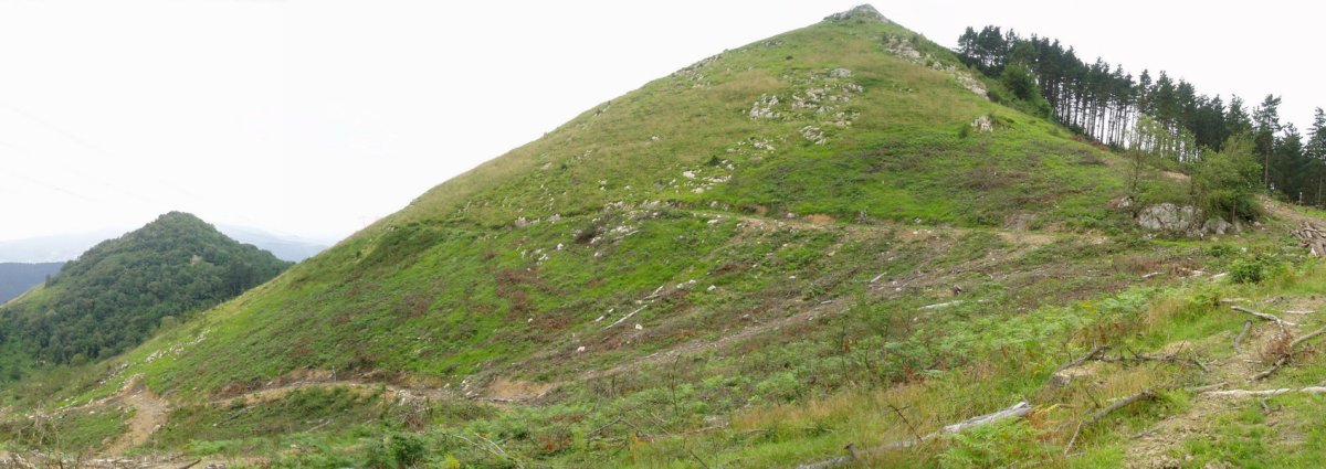 Hego-ekialdetik ikusita