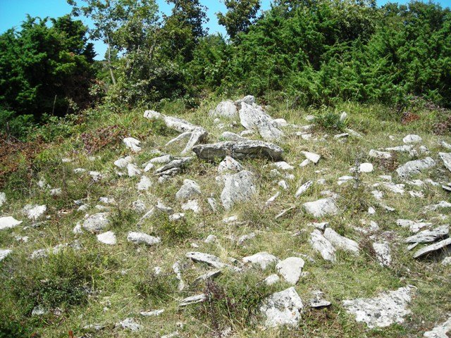 Larrolako trikuharria