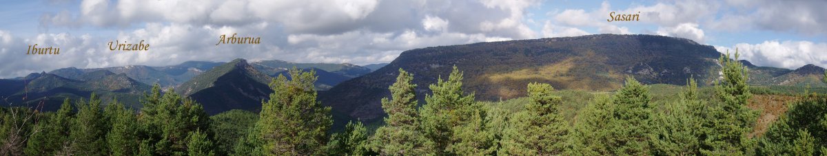 Sasari eta inguruko mendiak hegoaldetik