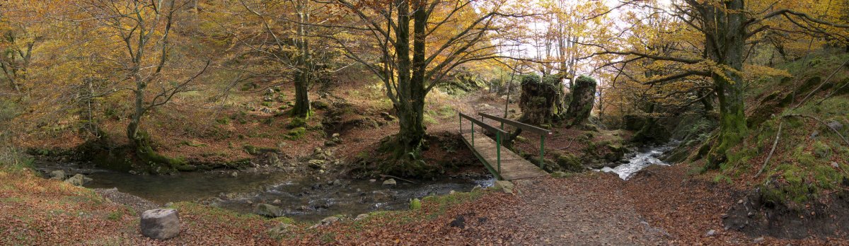 Lizarrusti eta Lareo arteko bideko pasarte bat